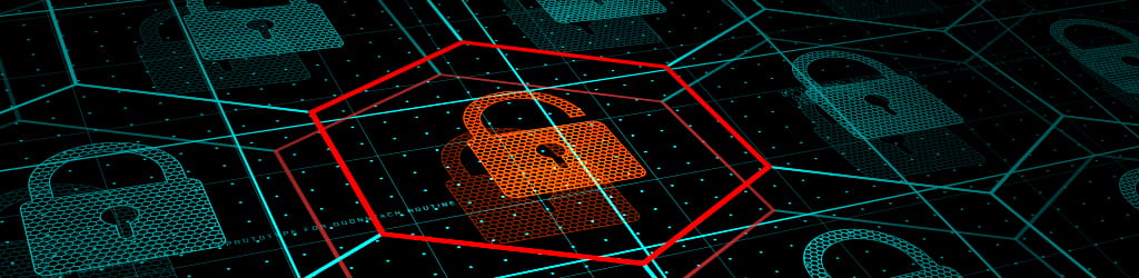 IT risk services technology cybersecurity privacy