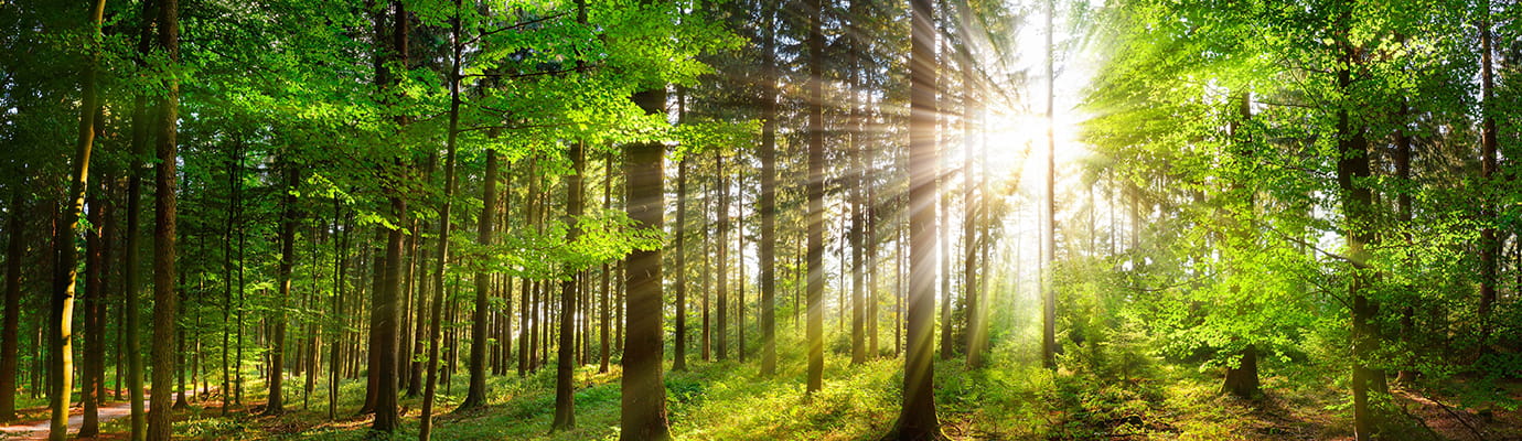 GGRF takeaways - Components and Collaboration