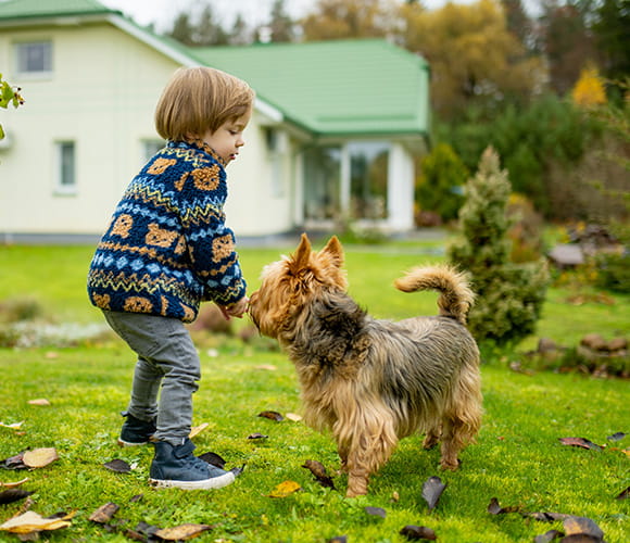 Boy playing with a puppy in garden