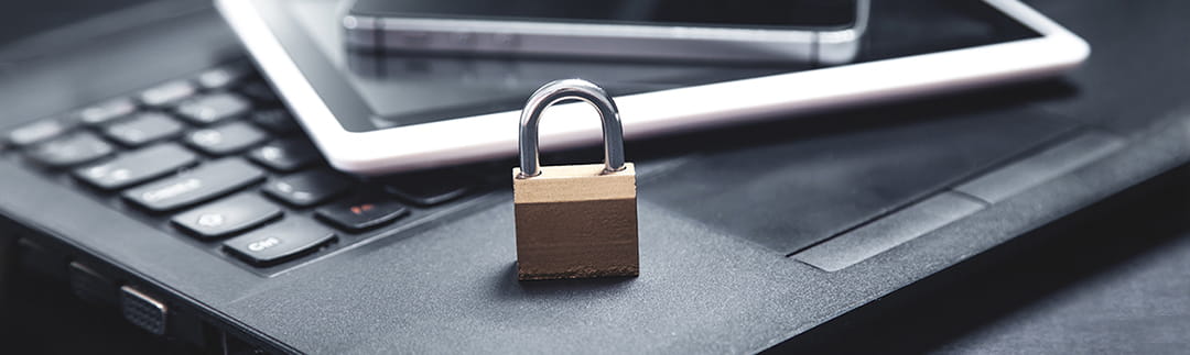 new-data-privacy-laws_Banner_1024x250_Rev2