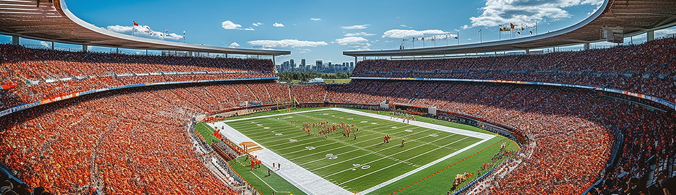 a stadium full of people