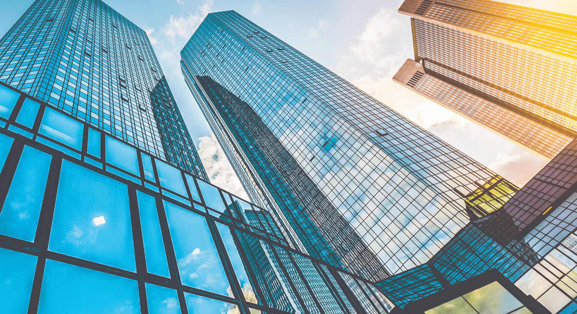 annual-report-2023-banner-home